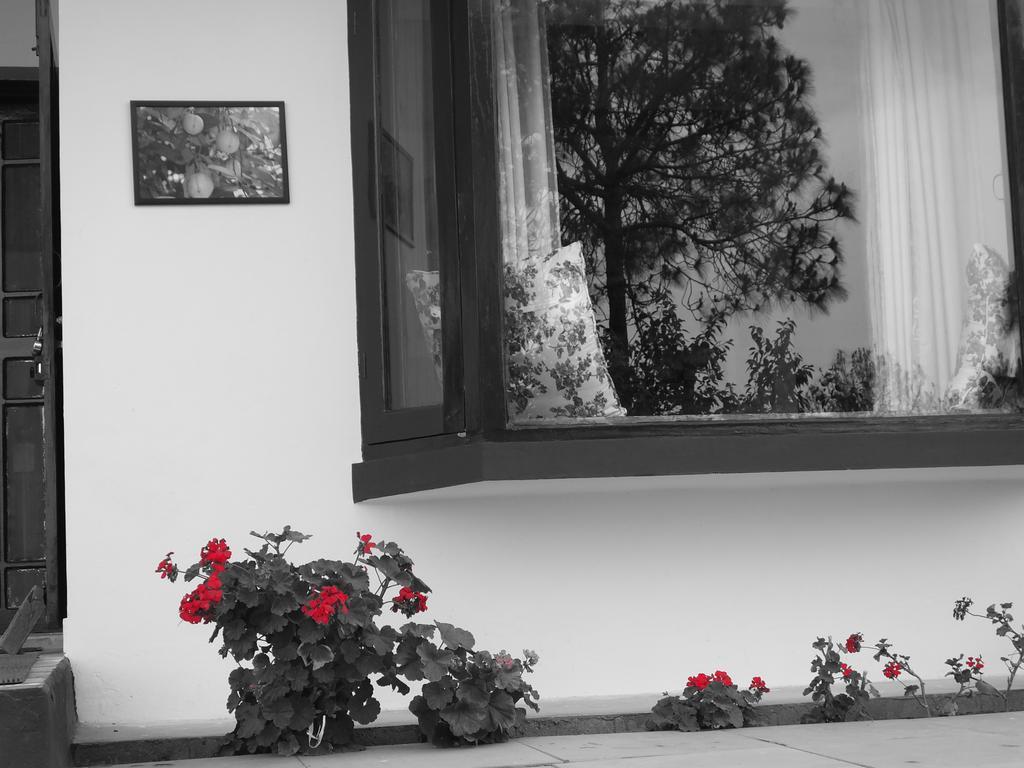 Hostie Sharanam - 2Bhk Pvt Mountain Villa, Majkhali Ranikhet Exteriör bild