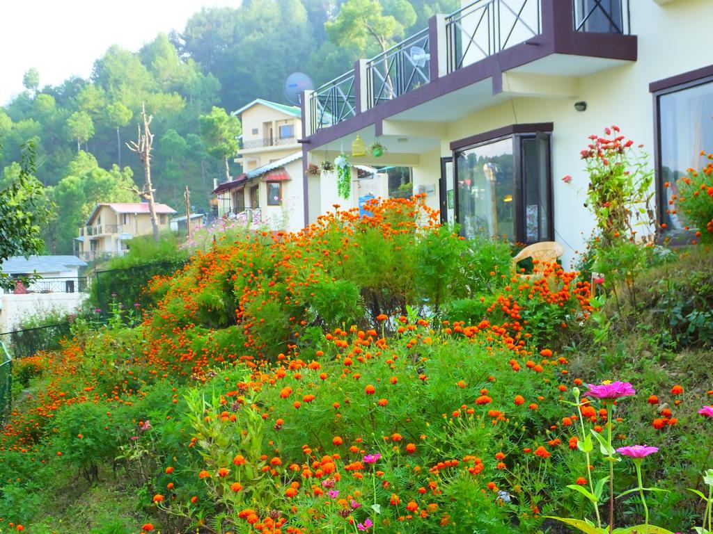 Hostie Sharanam - 2Bhk Pvt Mountain Villa, Majkhali Ranikhet Exteriör bild